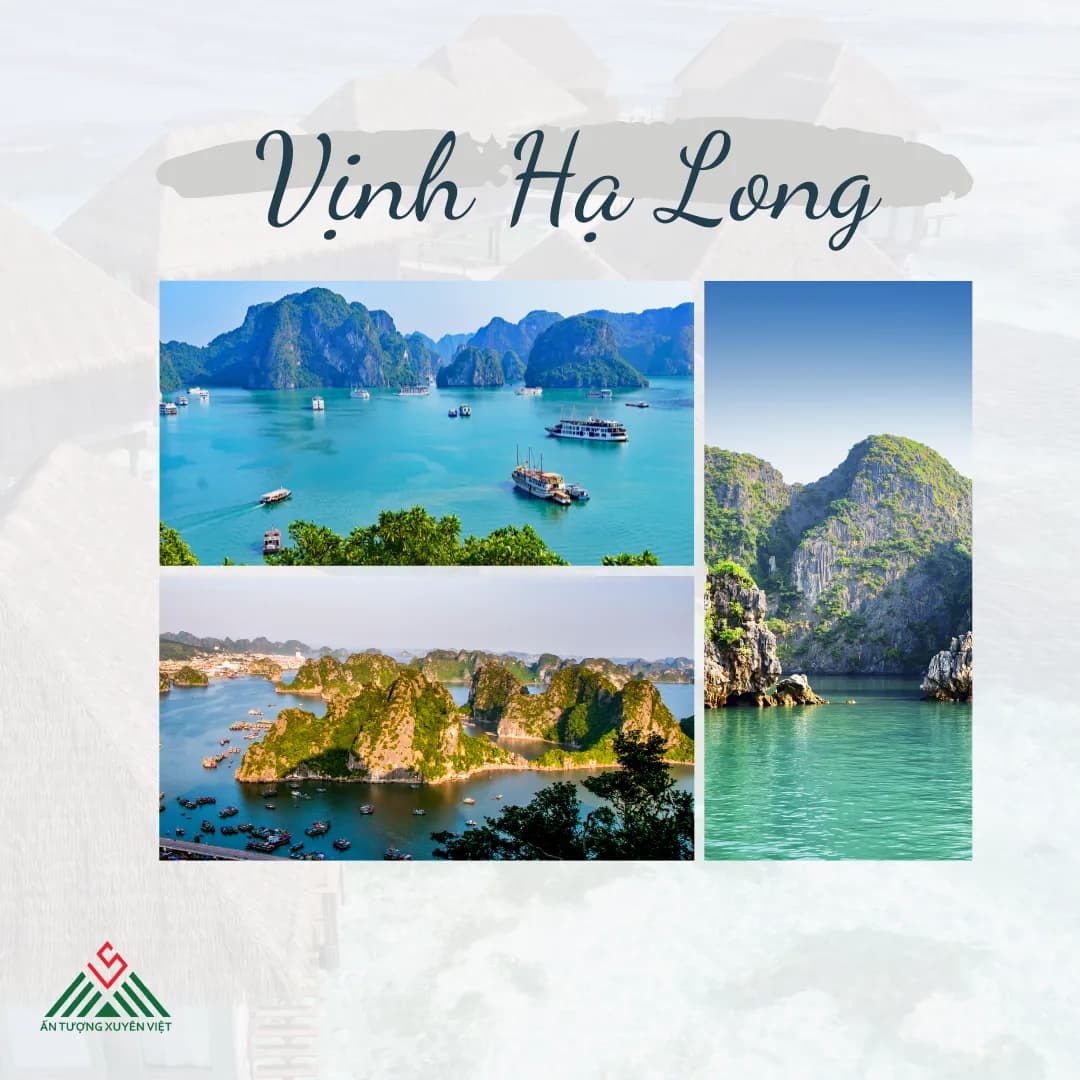 Khám phá vịnh Hạ Long 1 ngày