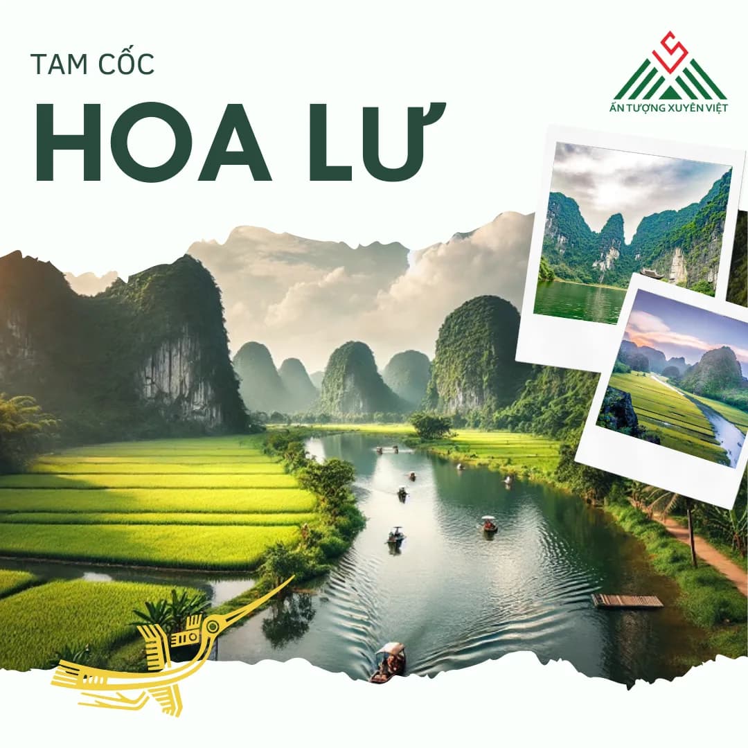 Hoa Lư - Tam Cốc 1 ngày