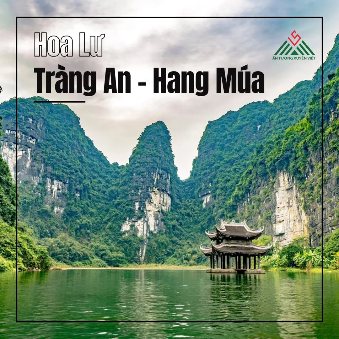 Hoa Lư - Tràng An -Hang Múa 1 ngày