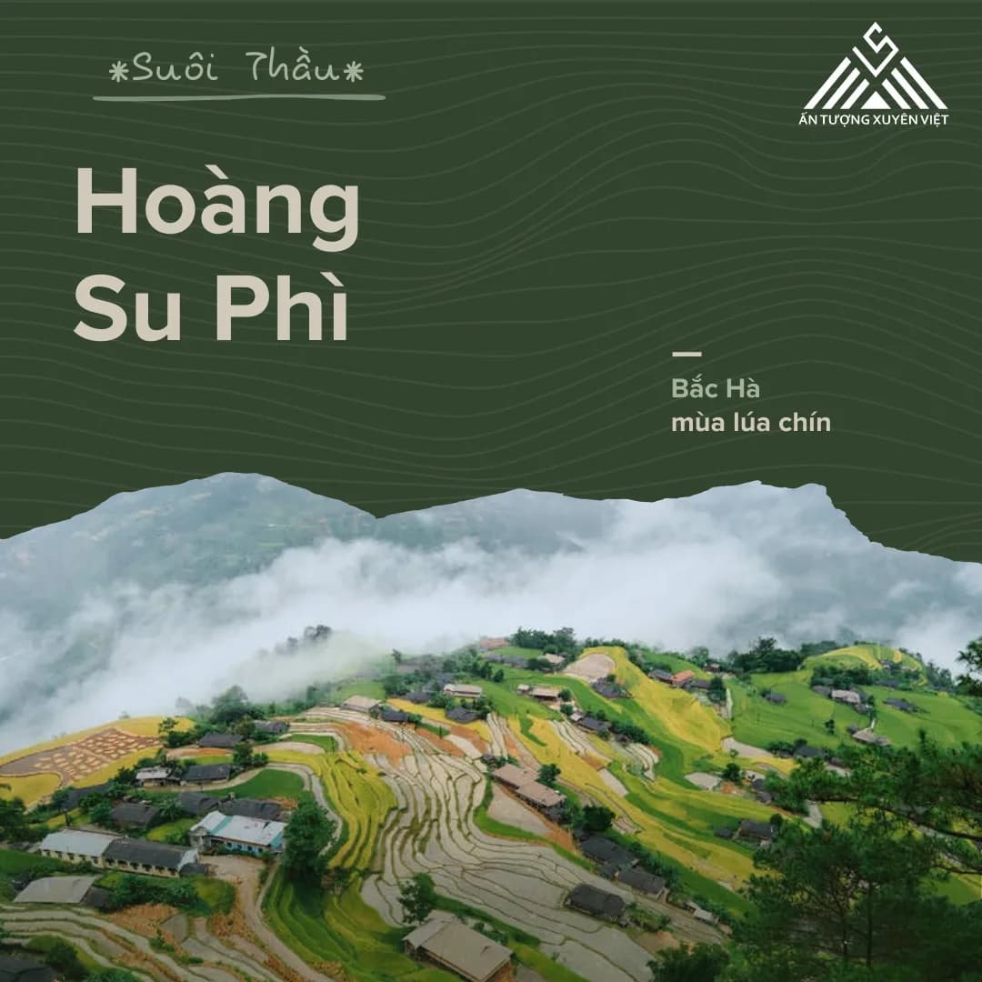 Hoàng Su Phì - Suôi Thầu - Bắc Hà mùa lúa chín