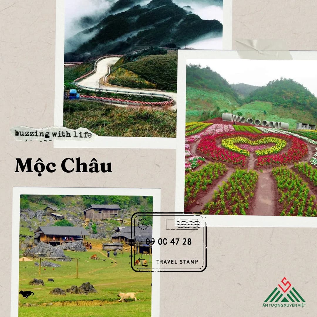 Cao nguyên Mộc Châu 2 ngày 1 đêm