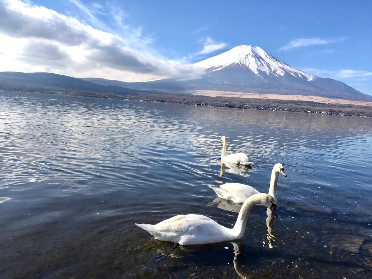 KHÁM PHÁ NHẬT BẢN MÙA ĐÔNG - 6N5Đ