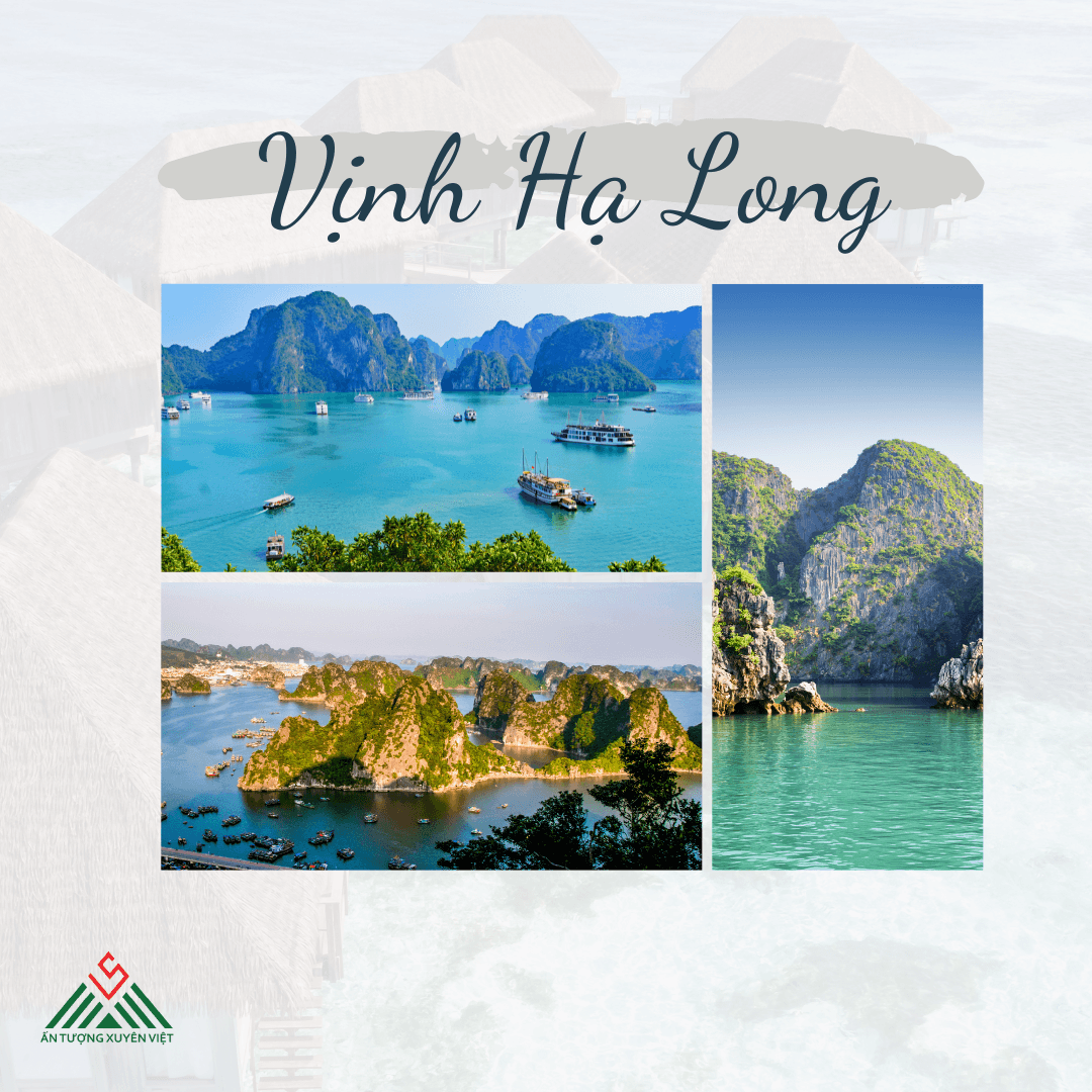 Khám phá vịnh Hạ Long 1 ngày