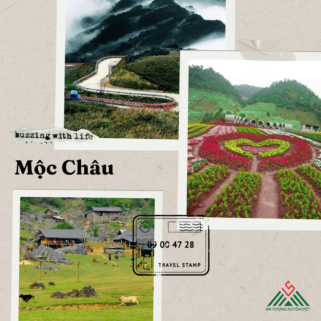 Cao nguyên Mộc Châu 2 ngày 1 đêm