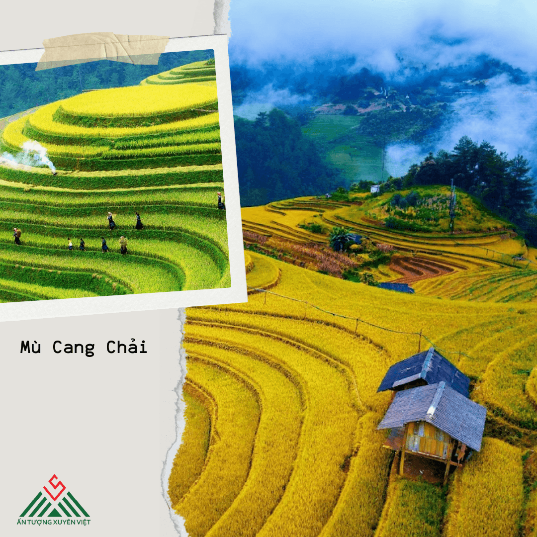 TOUR ĐỒI MÂM XÔI – RỪNG TRÚC – ĐỒI MÓNG NGỰA - MÙ CANG CHẢI 2N1Đ