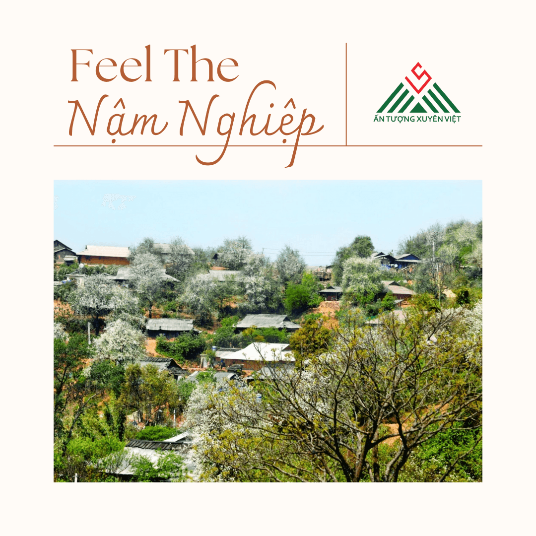 Tắm khoáng nóng bản Lướt - Ngắm hoa sơn tra Nậm Nghiệp