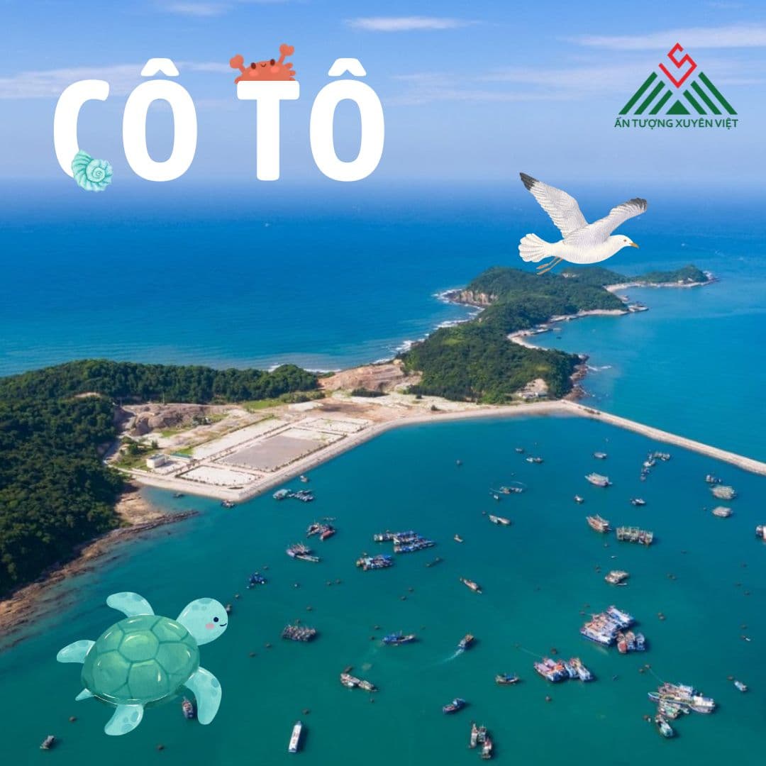 Đảo Cô Tô - Thiên Đường Biển 3n2đ